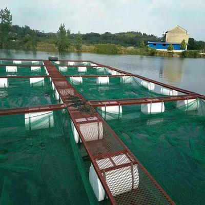 泥鰍黃鱔水產(chǎn)養(yǎng)殖防逃網(wǎng)箱 技術(shù)與福利的全方位解析