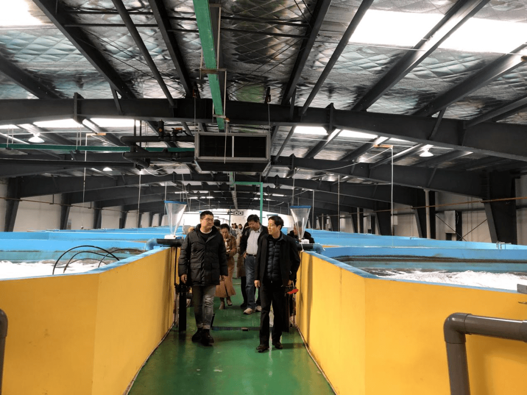 聚焦武漢優質蝦苗供應，推動內陸工廠化養殖產業升級與漁業技術革新