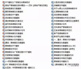 營銷策劃 聚焦顧客價值，驅動持續增長